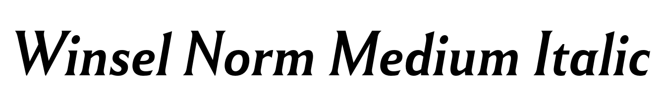 Winsel Norm Medium Italic